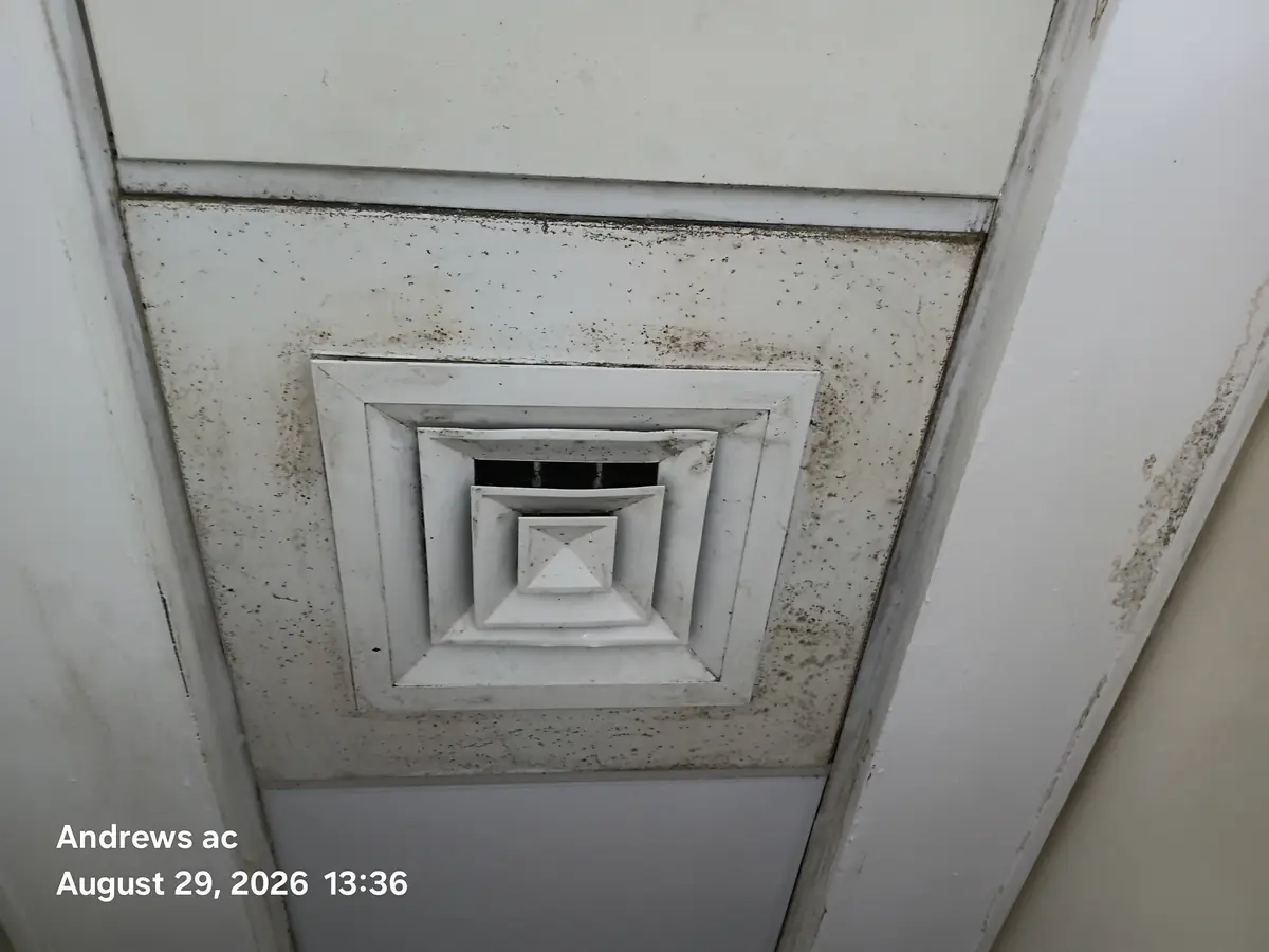 Mold growth spreading across the ceiling around an air conditioning diffuser before treatment